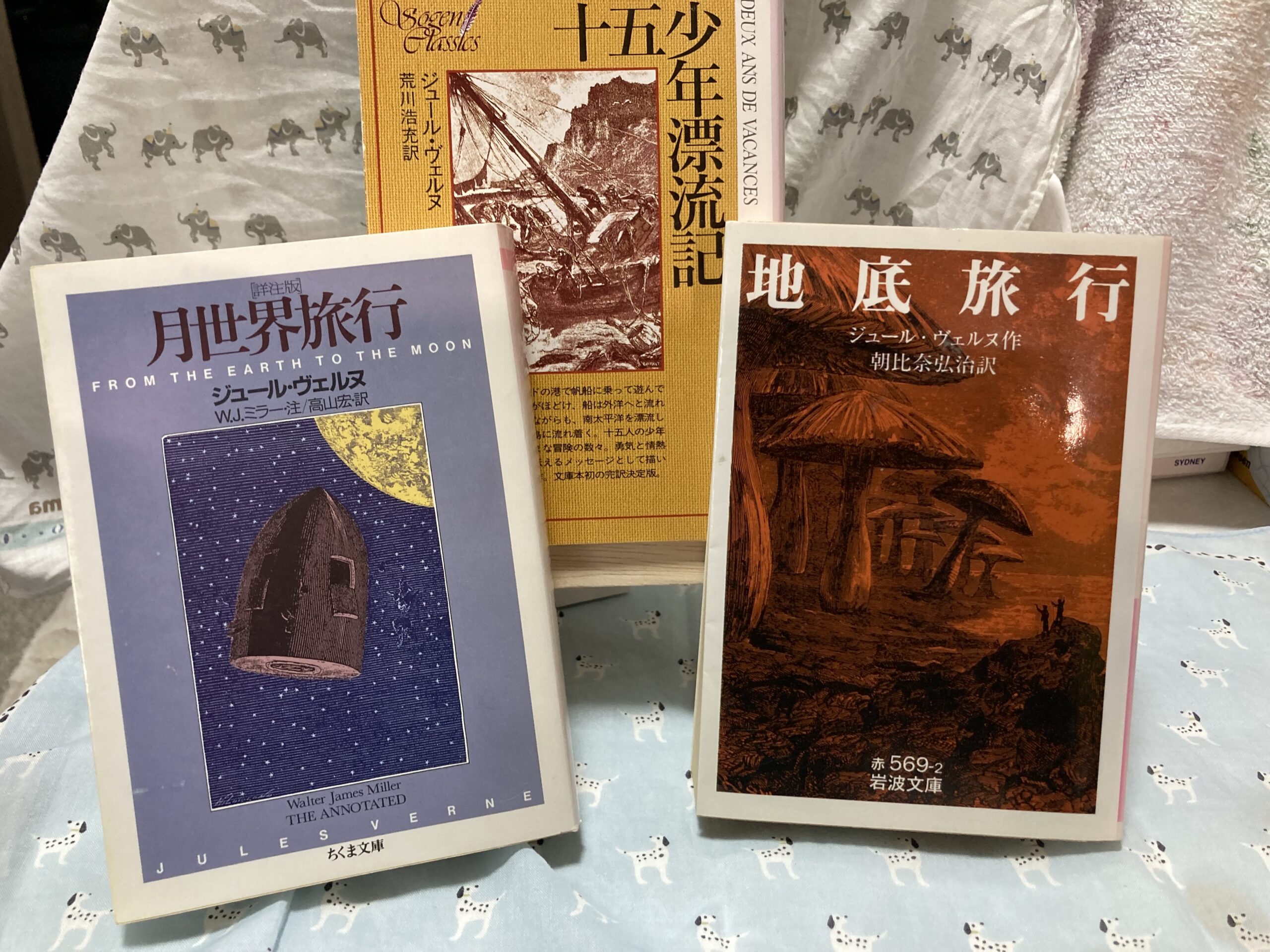 【ヴェルヌと冒険の旅へ】おうちに居ながら月旅行まで楽しむ読書の時間